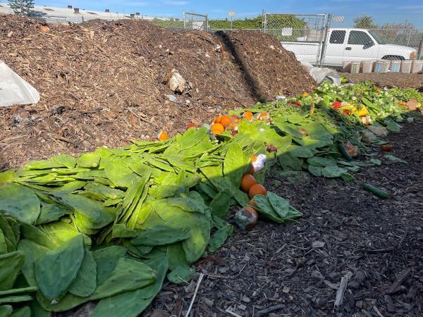 Tawa Compost- Headquarters