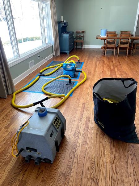Night Owl Express Carpet Cleaning & Restoration