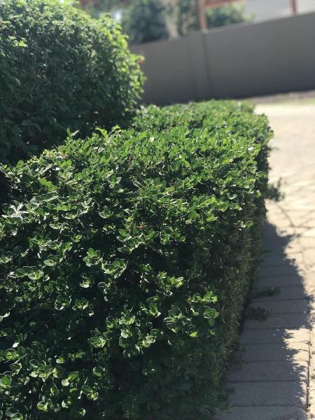 NNS Maintenance LLC