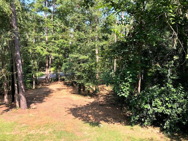Doyle Bennett Tree Service