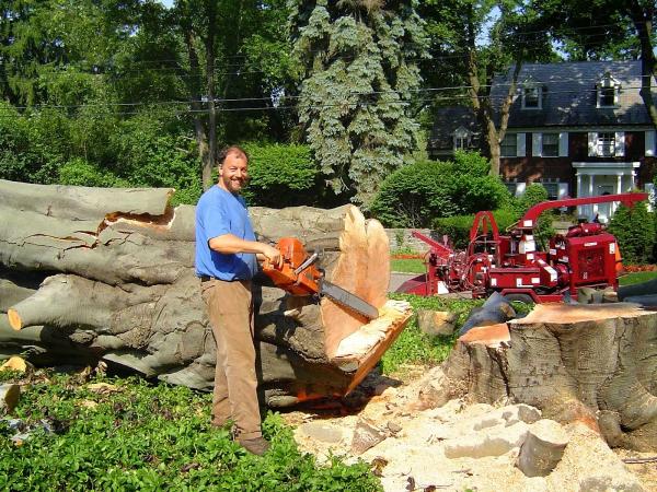 Capital Sawmill Service