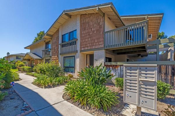 Palm Tree Properties