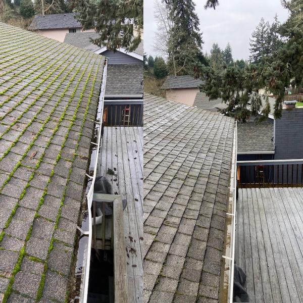 Legacy Gutter Cleaning