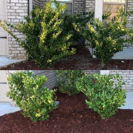 Amazing Grace Landscaping