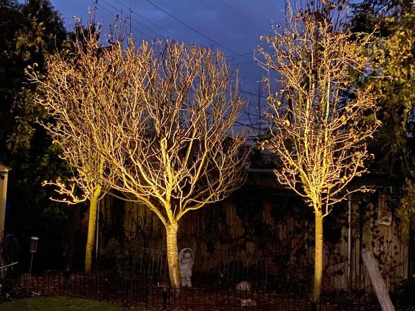 Lakeside Lighting & Irrigation Llc.