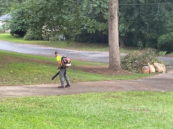 Oconee Tree Service