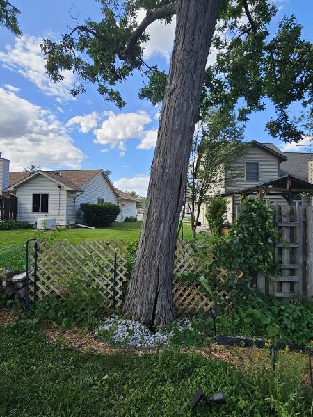 Adrian's Tree Service