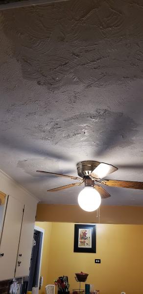 A1 Ceiling and Wall Repair