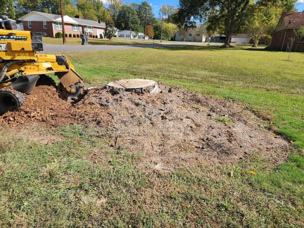 Black Dog Stump Grinding