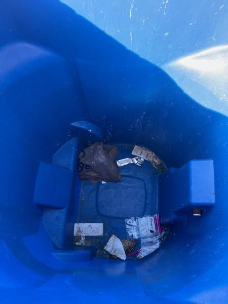 Natural Sanitation Garbage Can Cleaning