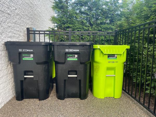 Natural Sanitation Garbage Can Cleaning