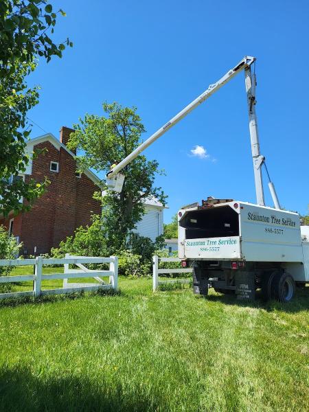 Staunton Tree Service