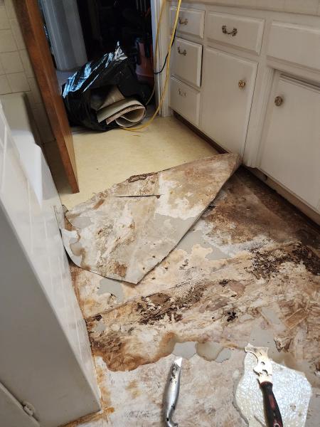 Lunares Flooring