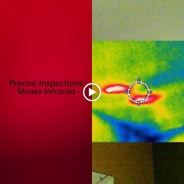 Precise Inspections