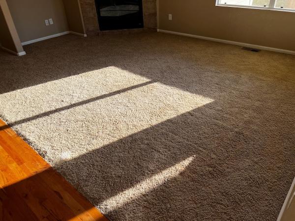 Water Damage Restoration Tech