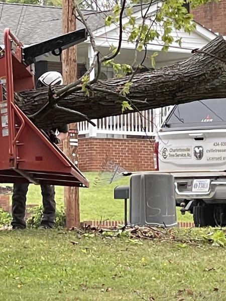 Charlottesville Tree Service