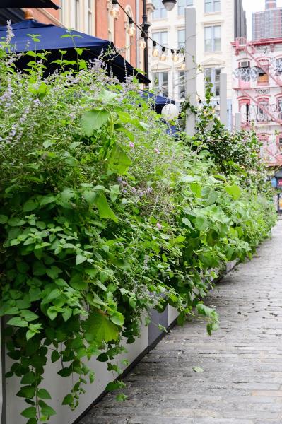 Urbangreen Gardens