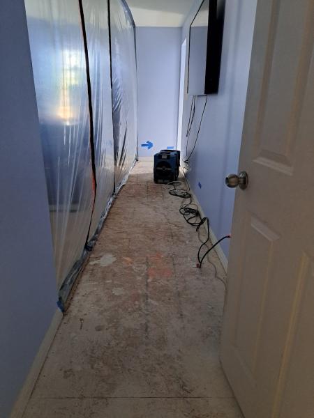 All Dry Services