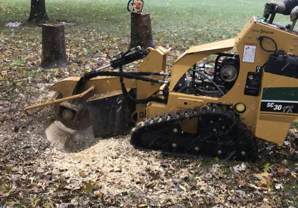 T&T Stump Grinding