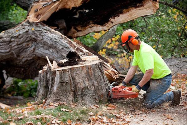 A&B Tree Services Inc.