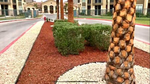 Barrios Landscaping and Irrigation
