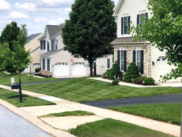 Pioneer Lawn & Landscaping Services