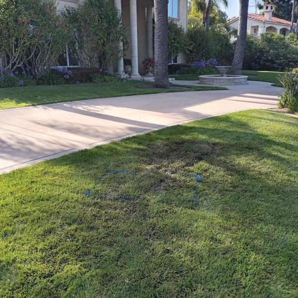 Acculine Leak Detection
