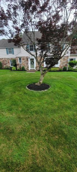 Barrett's Lawn Care