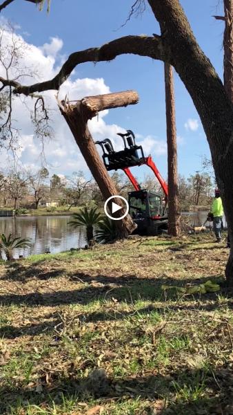 J C Lawn Care and Tree Service