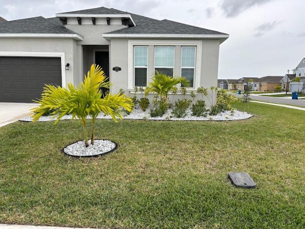 J C Lawn Care and Tree Service