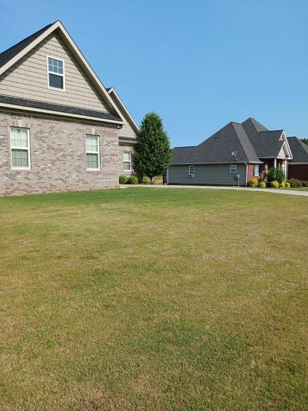 J & L Professional Lawn Maintenance