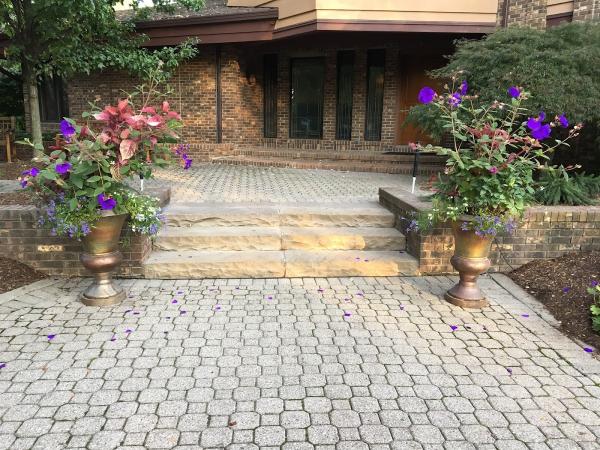 Outdoor Expressions