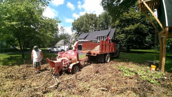 Big Sky Tree Service