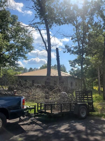 Quartz Stump Grinding