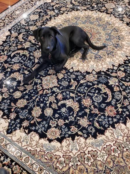 AZ Rug Bazaar