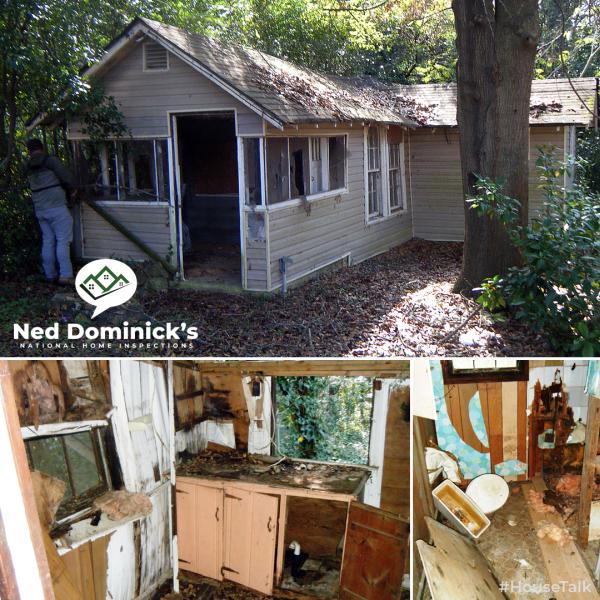 Ned Dominick's National Home Inspections