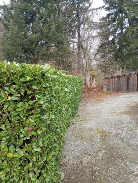 2 Brothers Landscaping & More