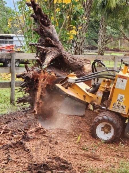 Anthony Hughes Tree & Stump Grinding