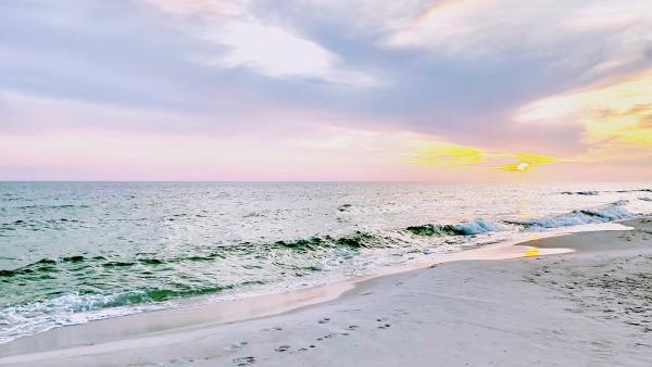 Sand Seeker Realty