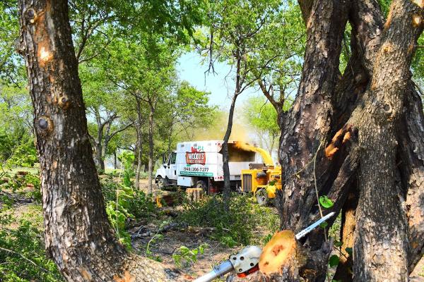Woody's Tree Service
