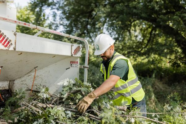 Wright Tree Service