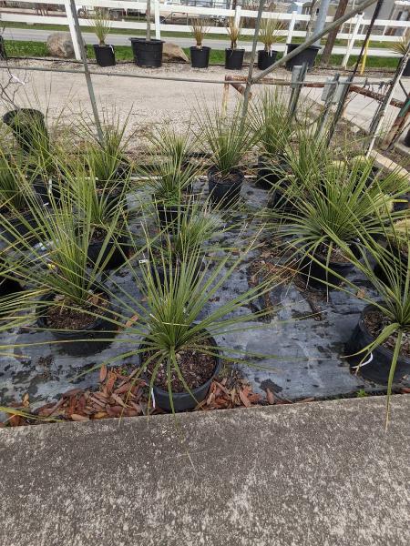 Maldonado Nursery Landscape & Irrigation