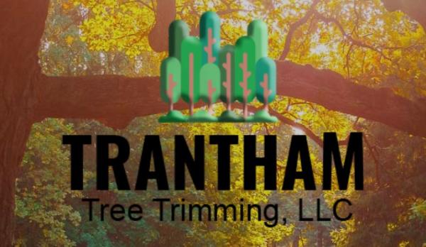 Trantham Tree Trimming