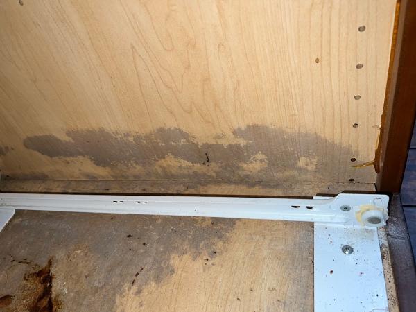 Guaranteed Property and Mold Inspection