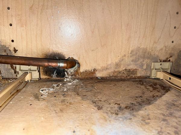 Guaranteed Property and Mold Inspection