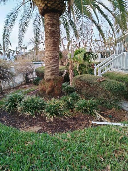 Somers Tree Service