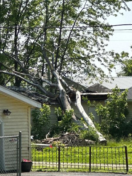 Brown Storm Service