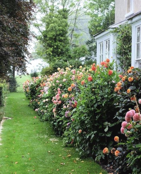Graceland Gardens