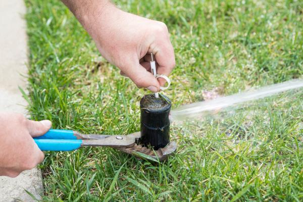 Elite Sprinkler Repair & Installation