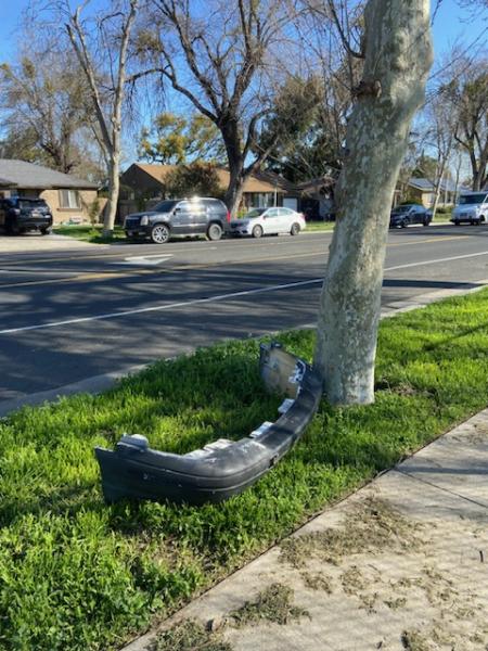Great White Junk Removal Modesto